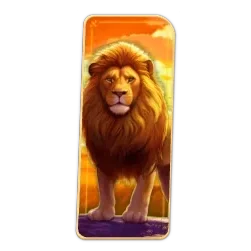 Lion
Safari